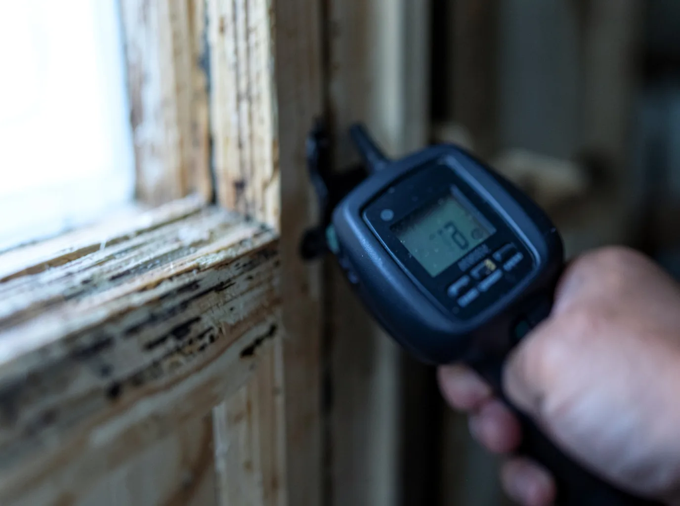 Water Damage Restoration Trinity, AL FAQs